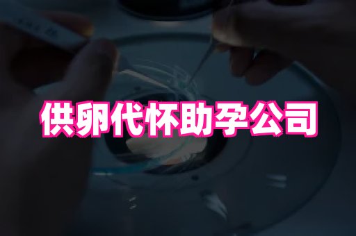 深圳助孕网站 1