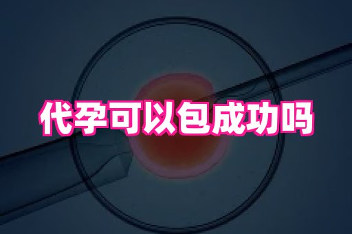 深圳助孕网站 3