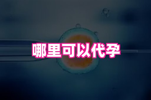 深圳助孕网站 4